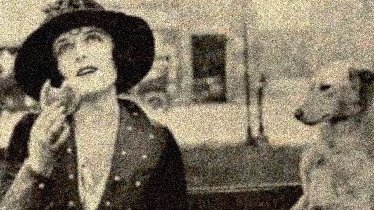 Backdrop – The City of Tears