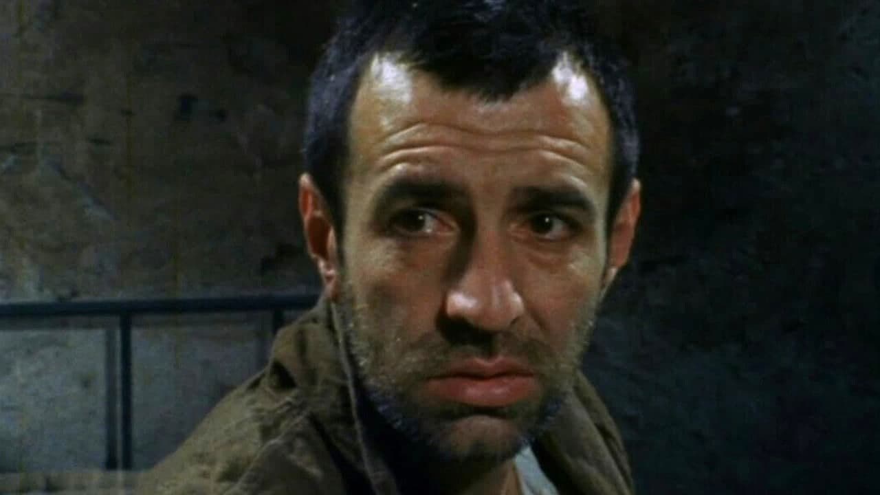 Backdrop – Paviljon broj VI