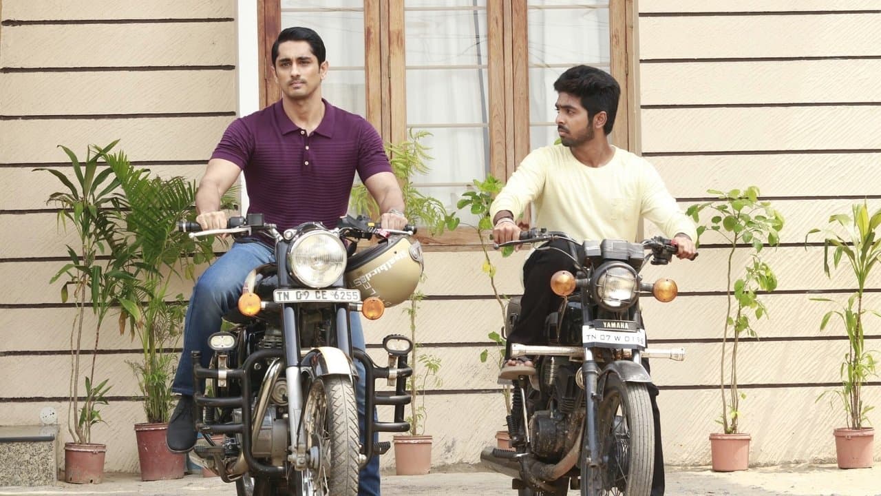 Backdrop – சிவப்பு மஞ்சள் பச்சை