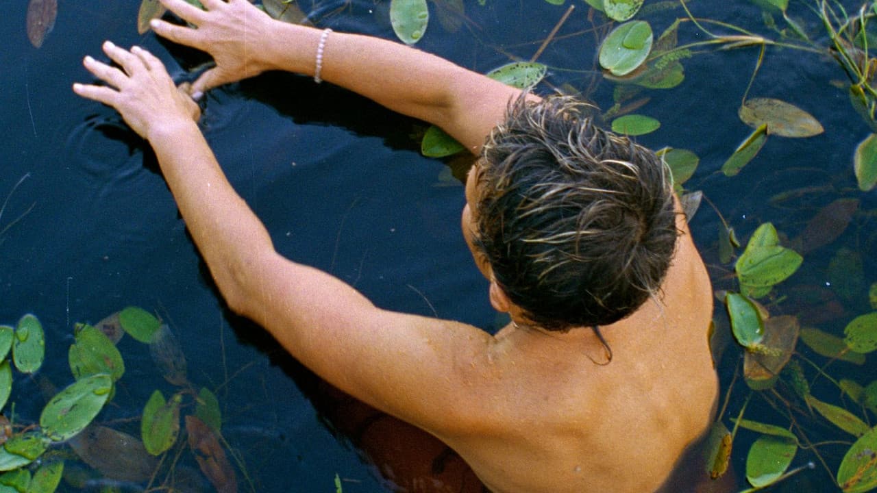 Backdrop – Ūkų ūkai