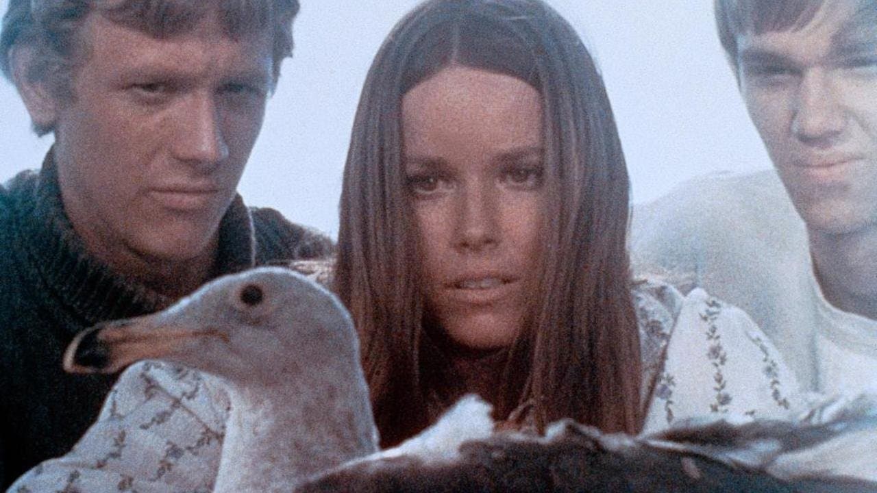 Backdrop – Petting