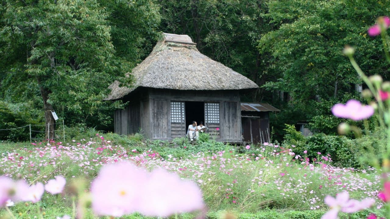 Backdrop – 阿弥陀堂だより