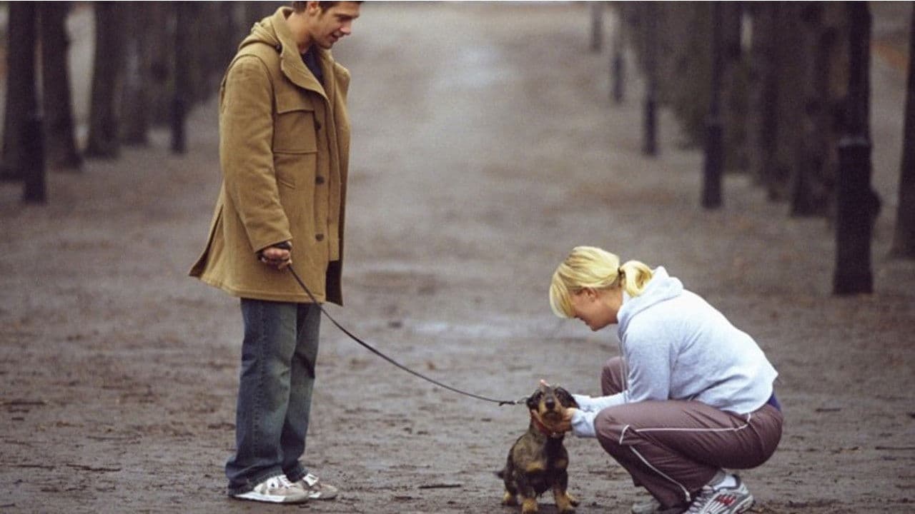 Backdrop – Hundtricket - The Movie