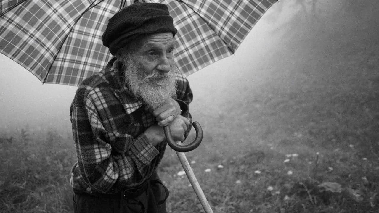 Backdrop – Sotto le stelle fredde