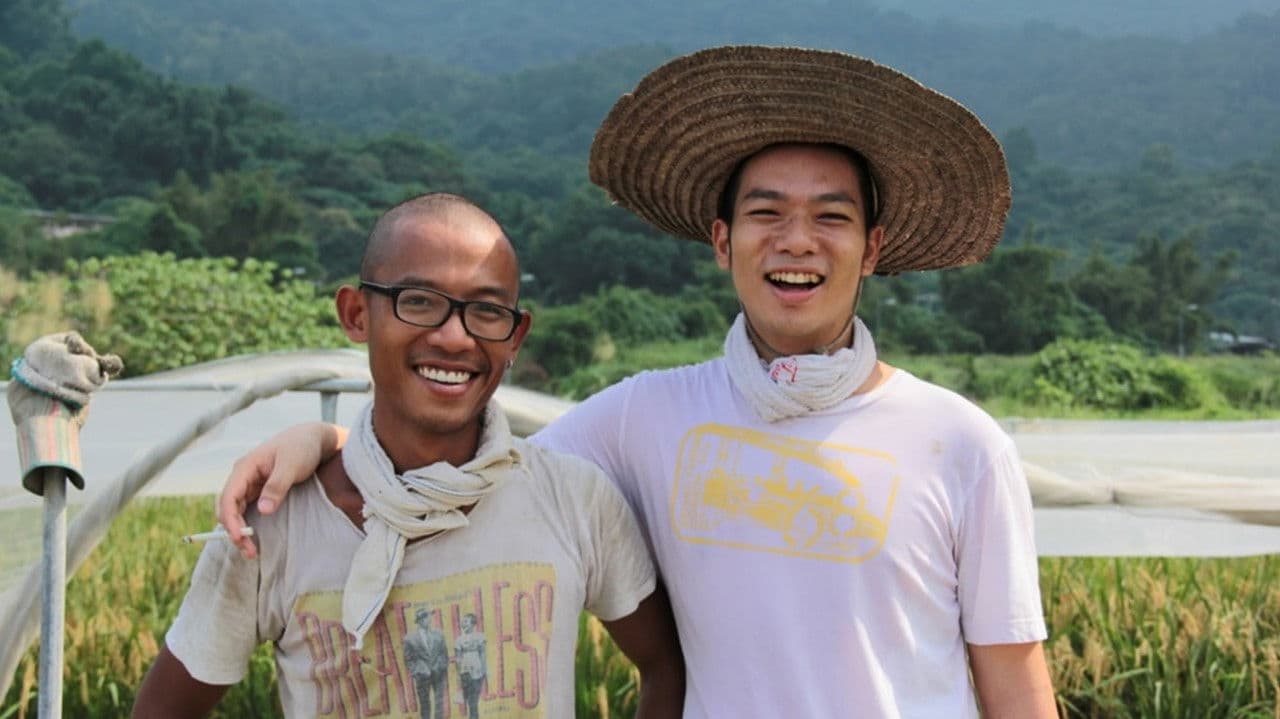 Backdrop – 稻米是如何鍊成的