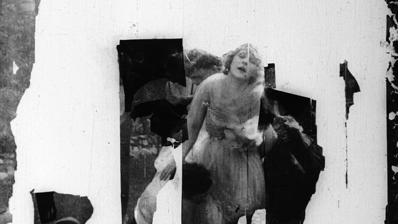 Backdrop – The Social Buccaneer