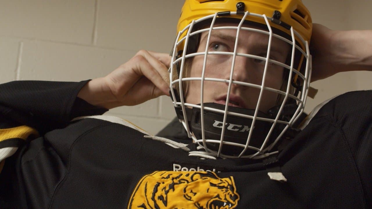 Backdrop – Hockeyland