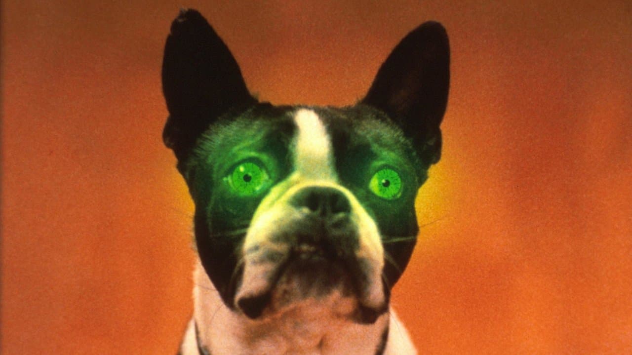 Backdrop – Convent