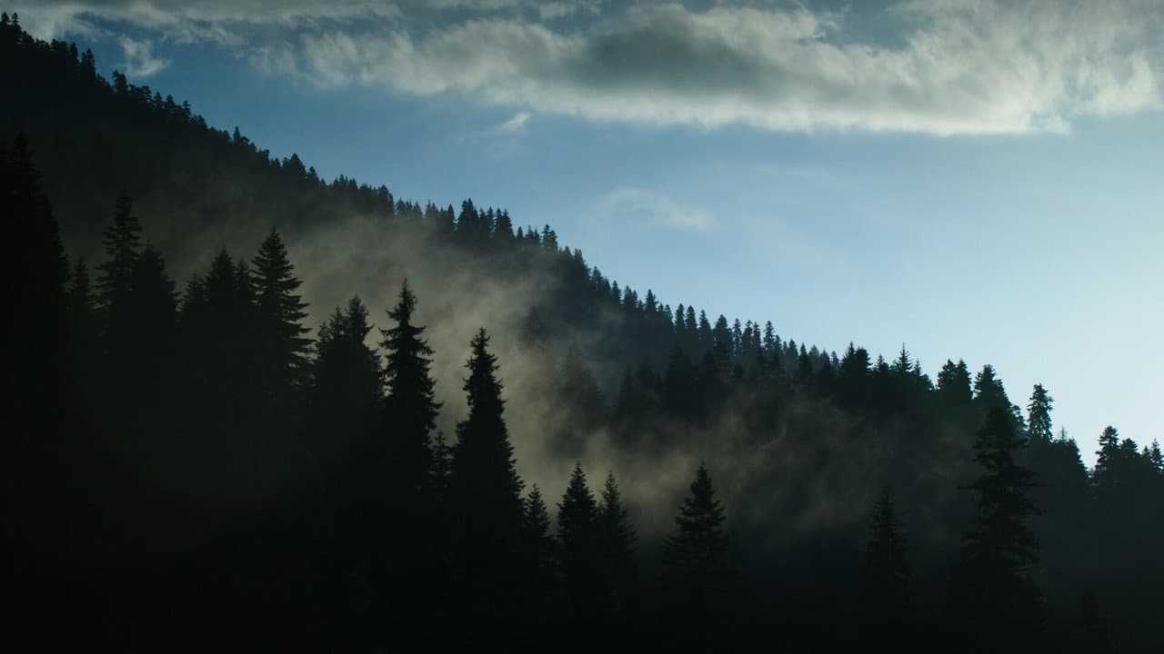 Backdrop – გულისხმა