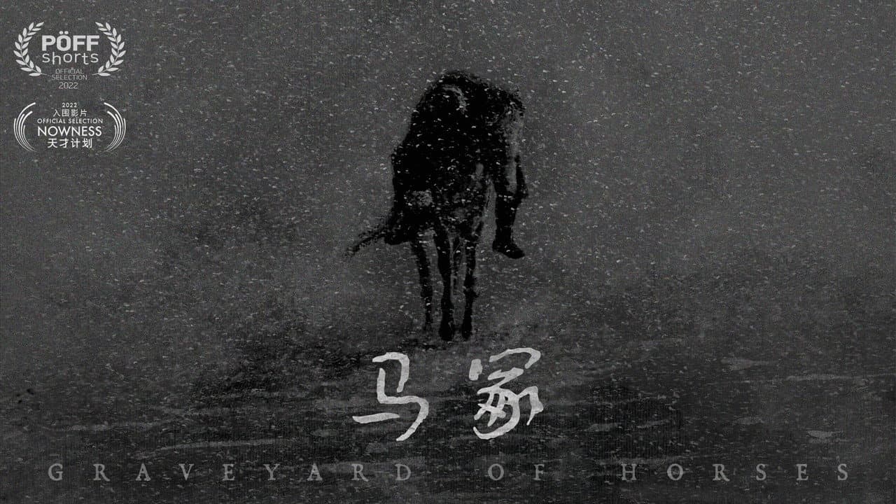 Backdrop – 马冢