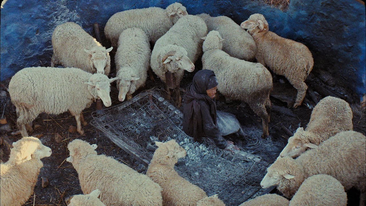 Backdrop – This Is Not a Burial, It's a Resurrection