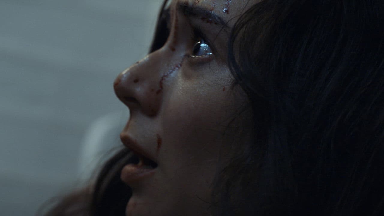 Backdrop – The Silhouette