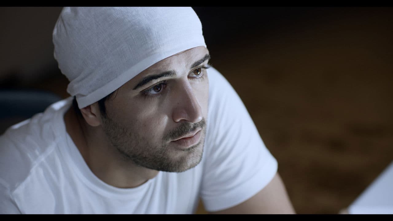 Backdrop – Entropic