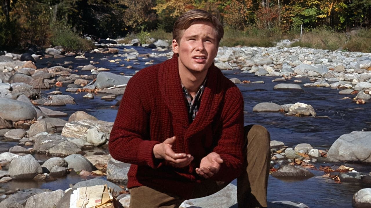 Backdrop – Diese Calloways