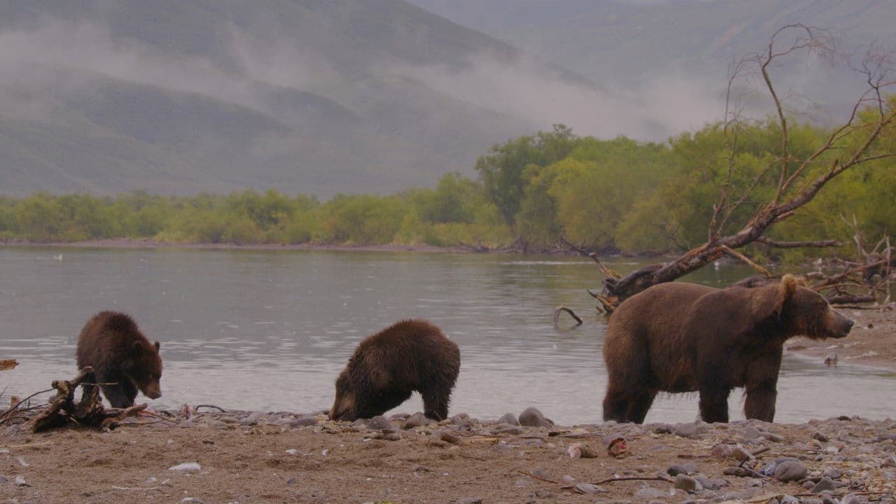 Backdrop – Wild Edens: Russia