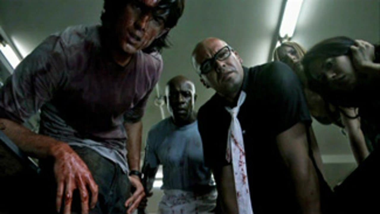 Backdrop – The Mad