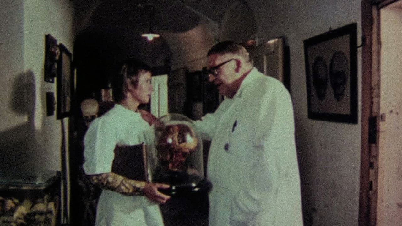 Backdrop – Deadline