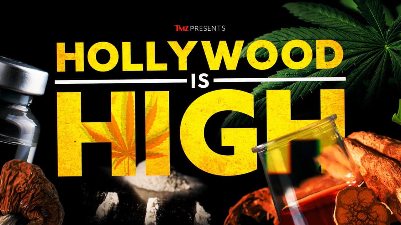 Backdrop – TMZ Presents: Hollywood is High