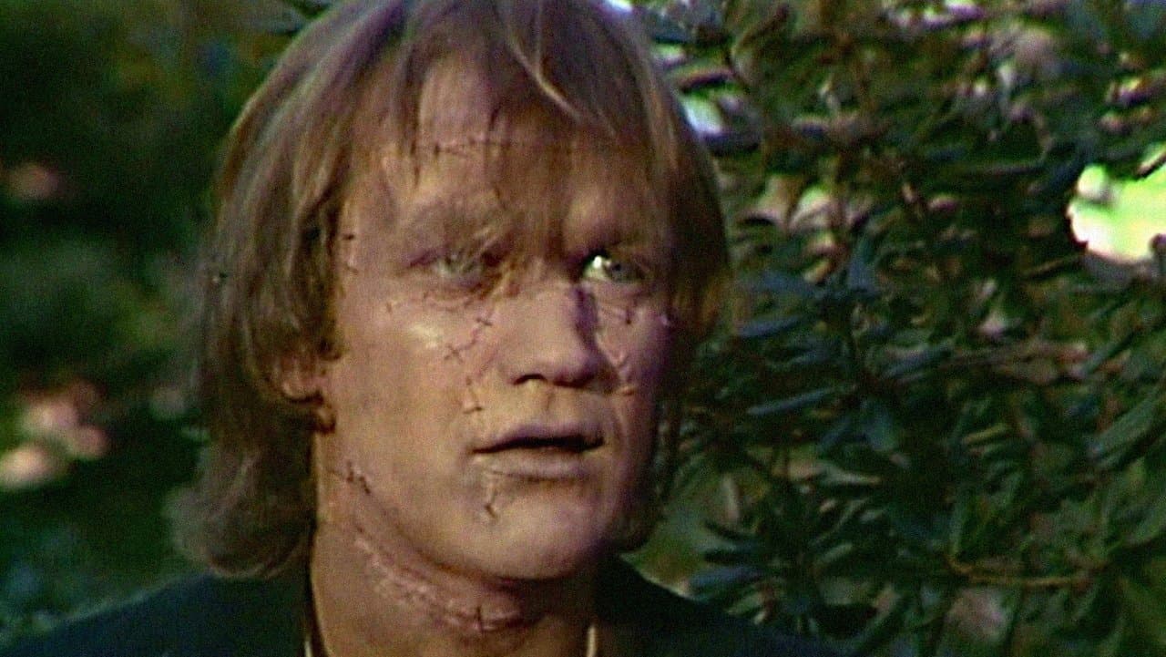 Backdrop – Frankenstein