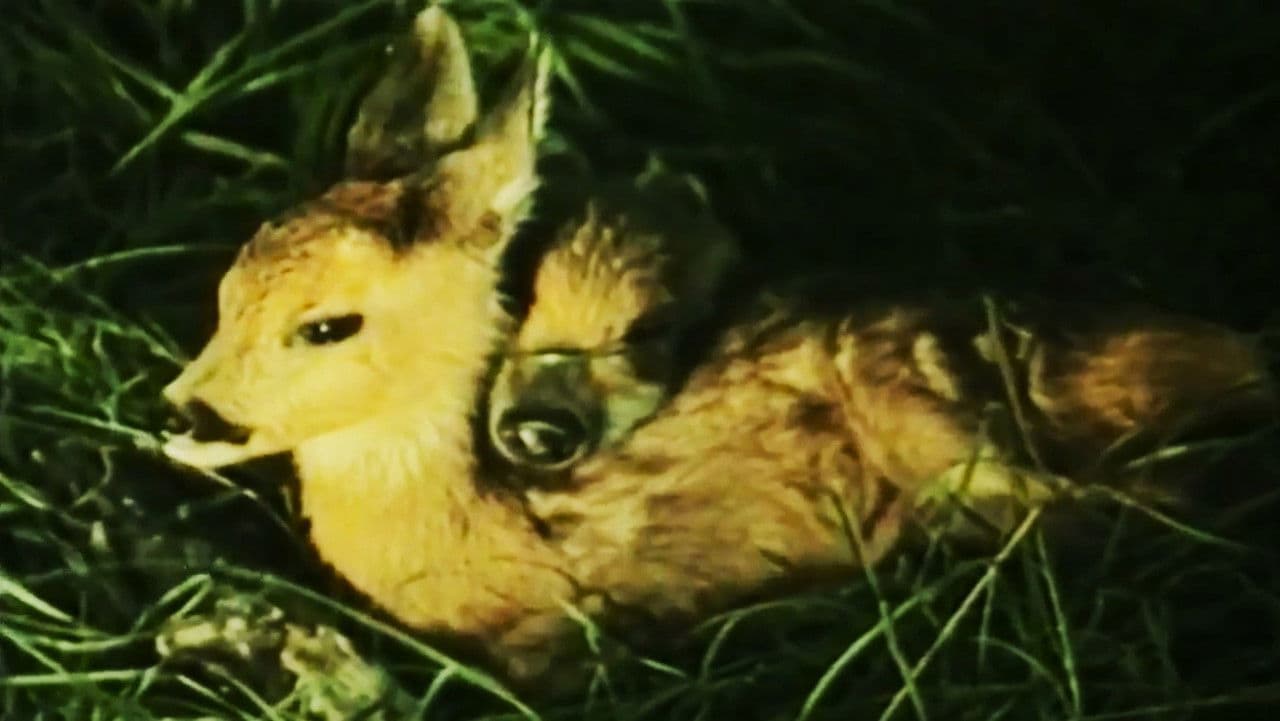 Backdrop – Svet koji nestaje