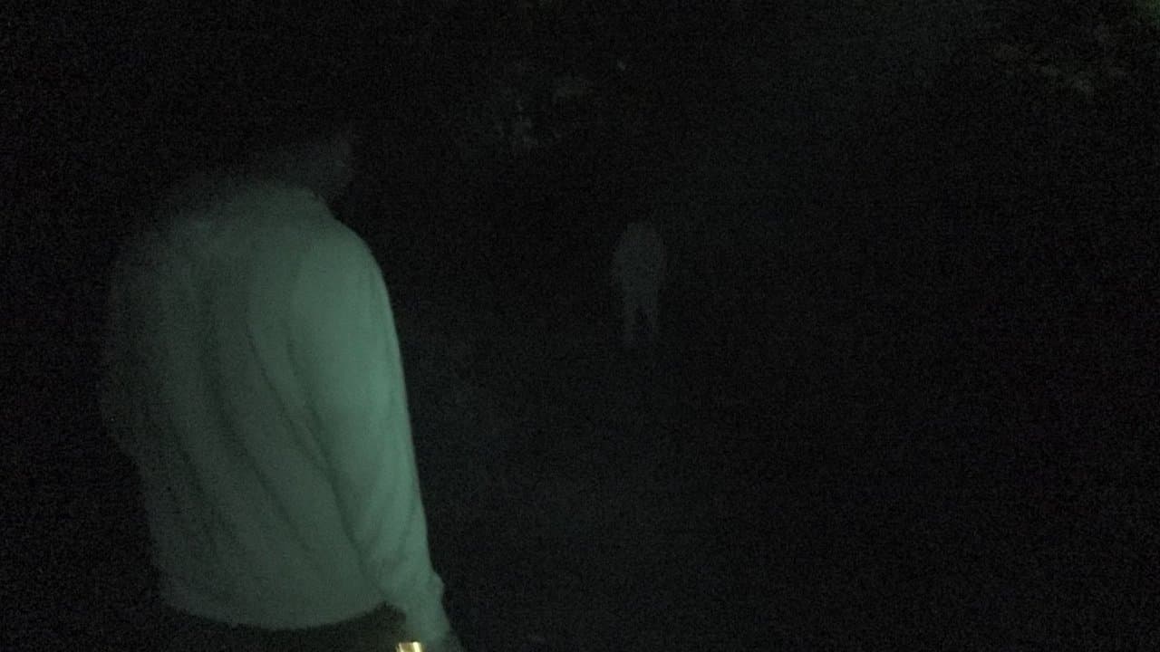 Backdrop – Terror Tales: Poetry & Death Volume 1