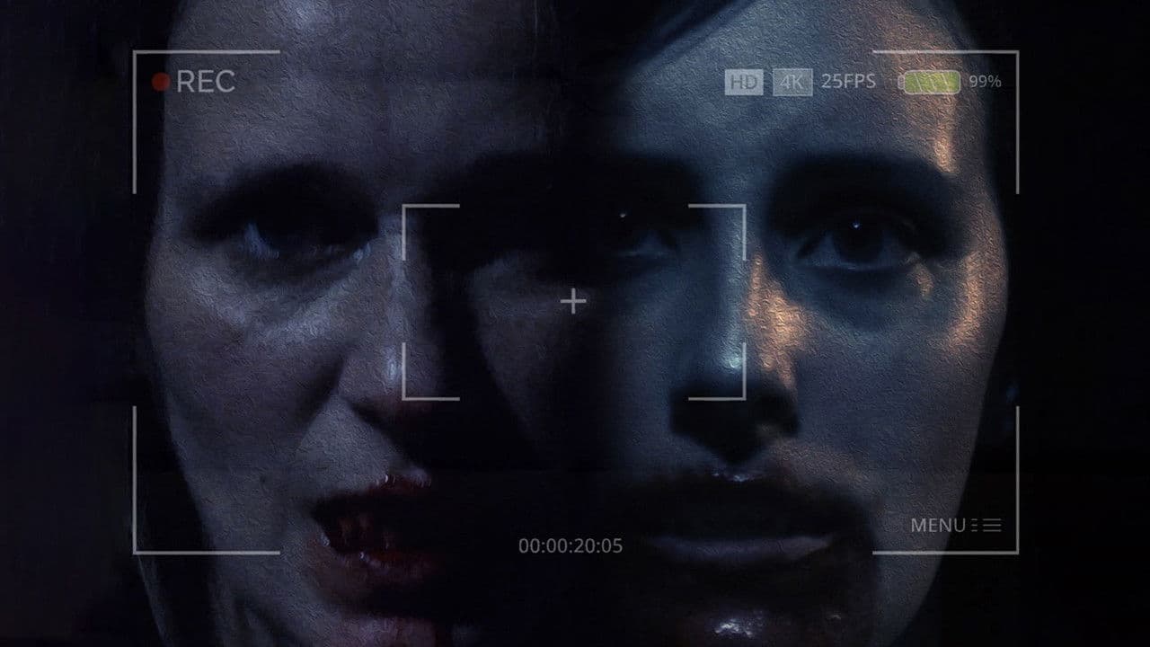 Backdrop – The Night Is Young