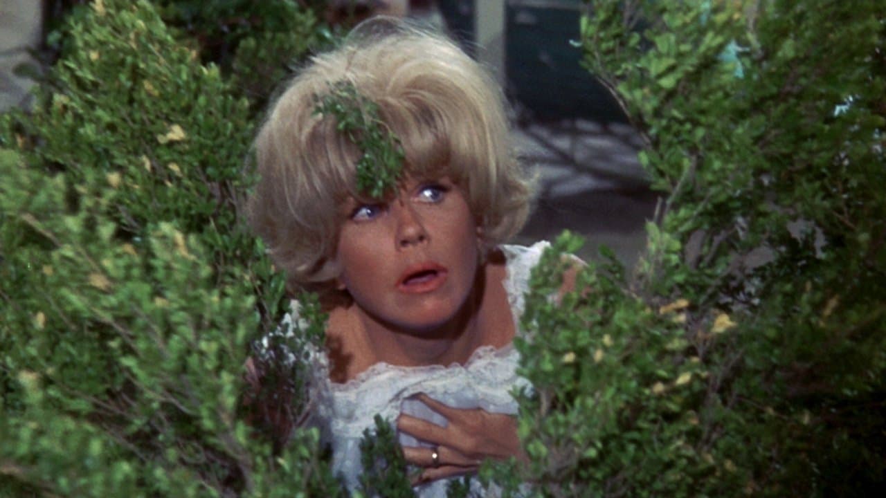 Backdrop – Schick mir keine Blumen