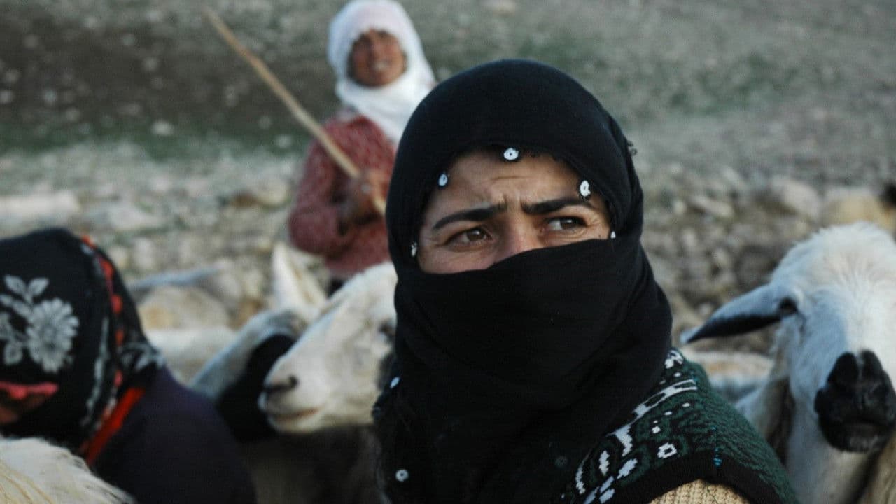 Backdrop – Demsala dawi: Sewaxan