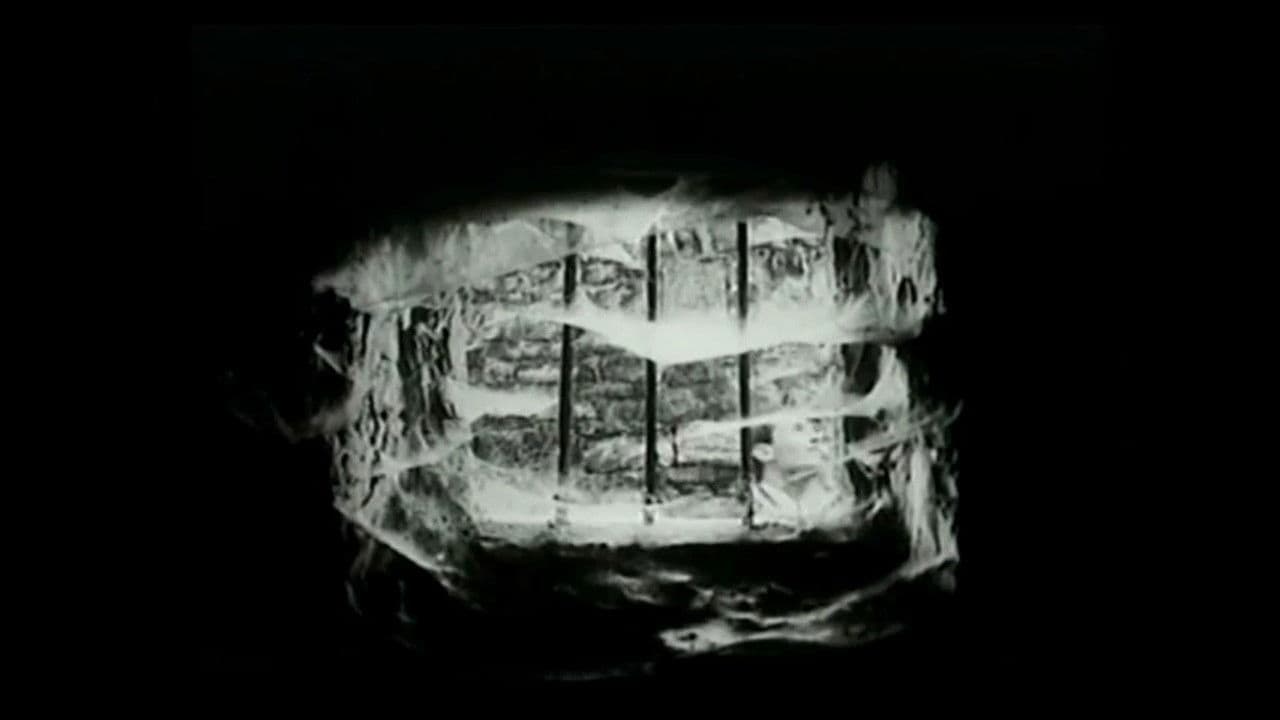 Backdrop – Predvečerje