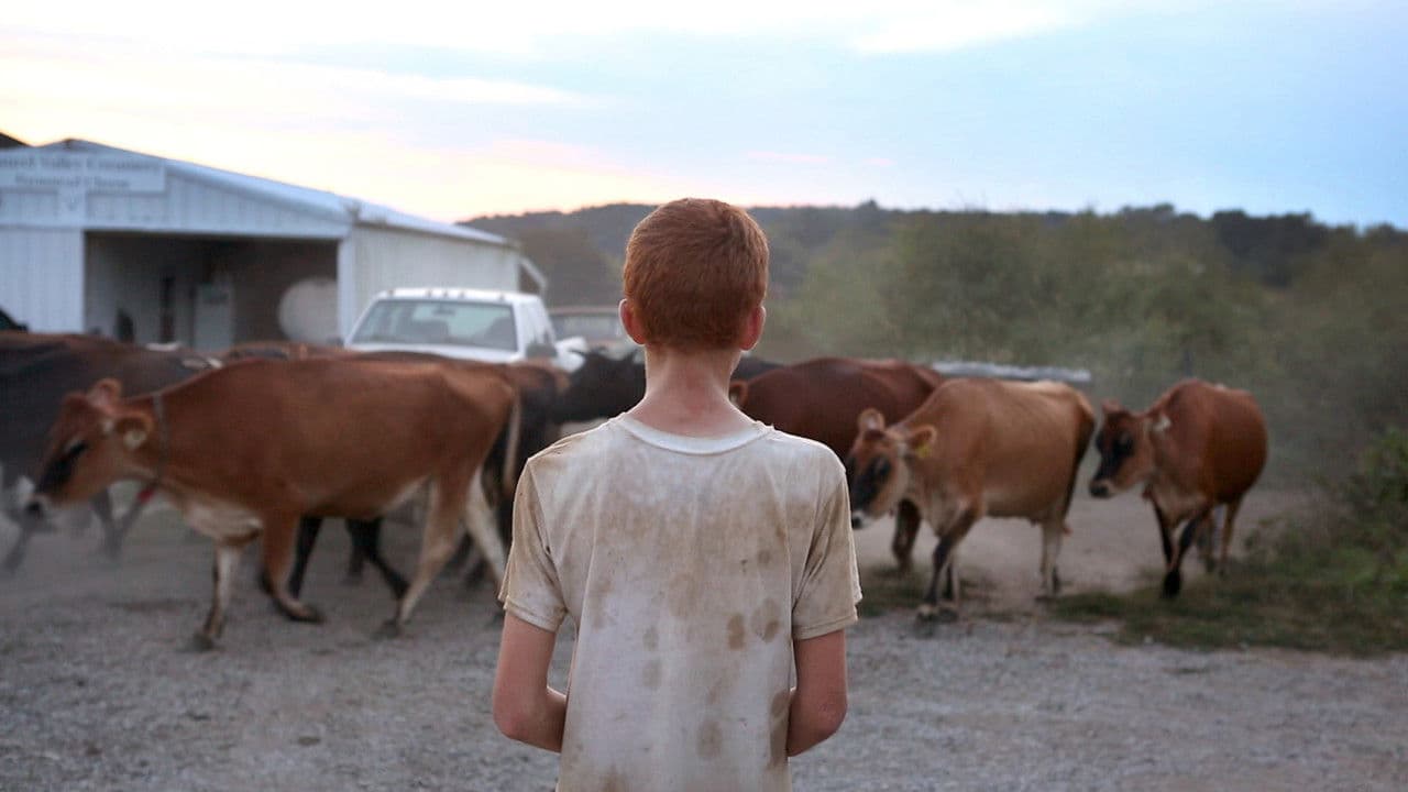 Backdrop – Farmsteaders