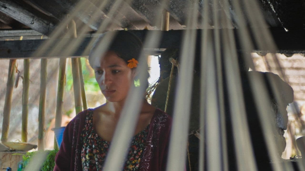 Backdrop – Diez de Mayo