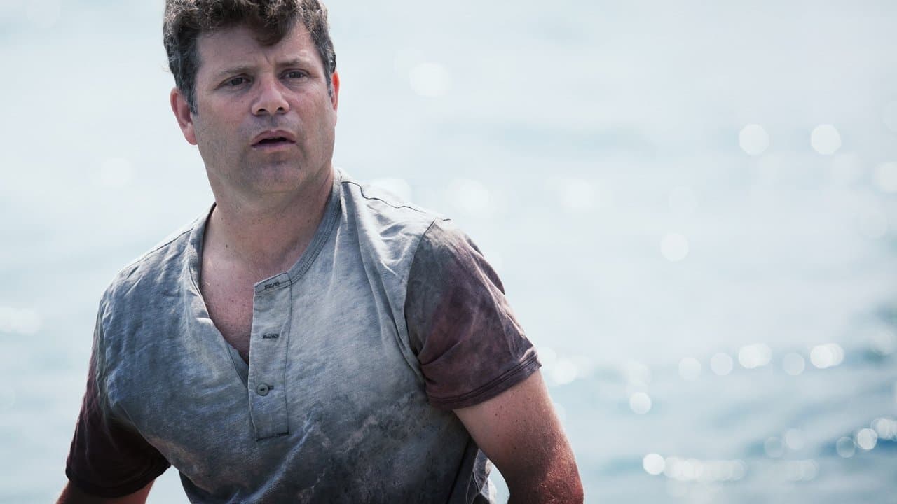 Backdrop – The Surface