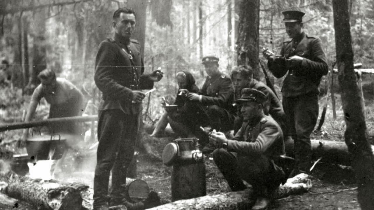 Backdrop – Nematomas Frontas