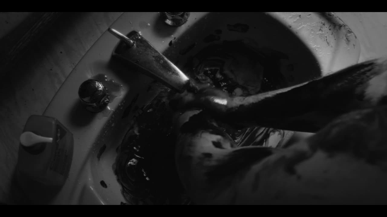 Backdrop – Seraph's Sorrow