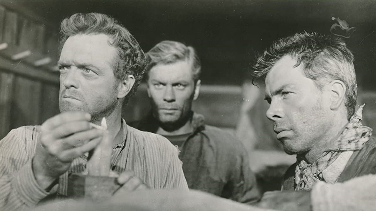 Backdrop – Unter zwei Flaggen