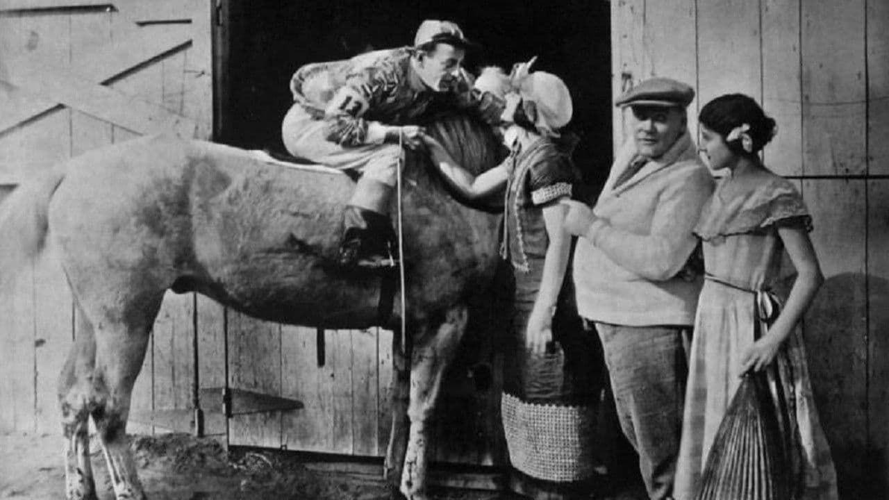 Backdrop – Black Oxfords