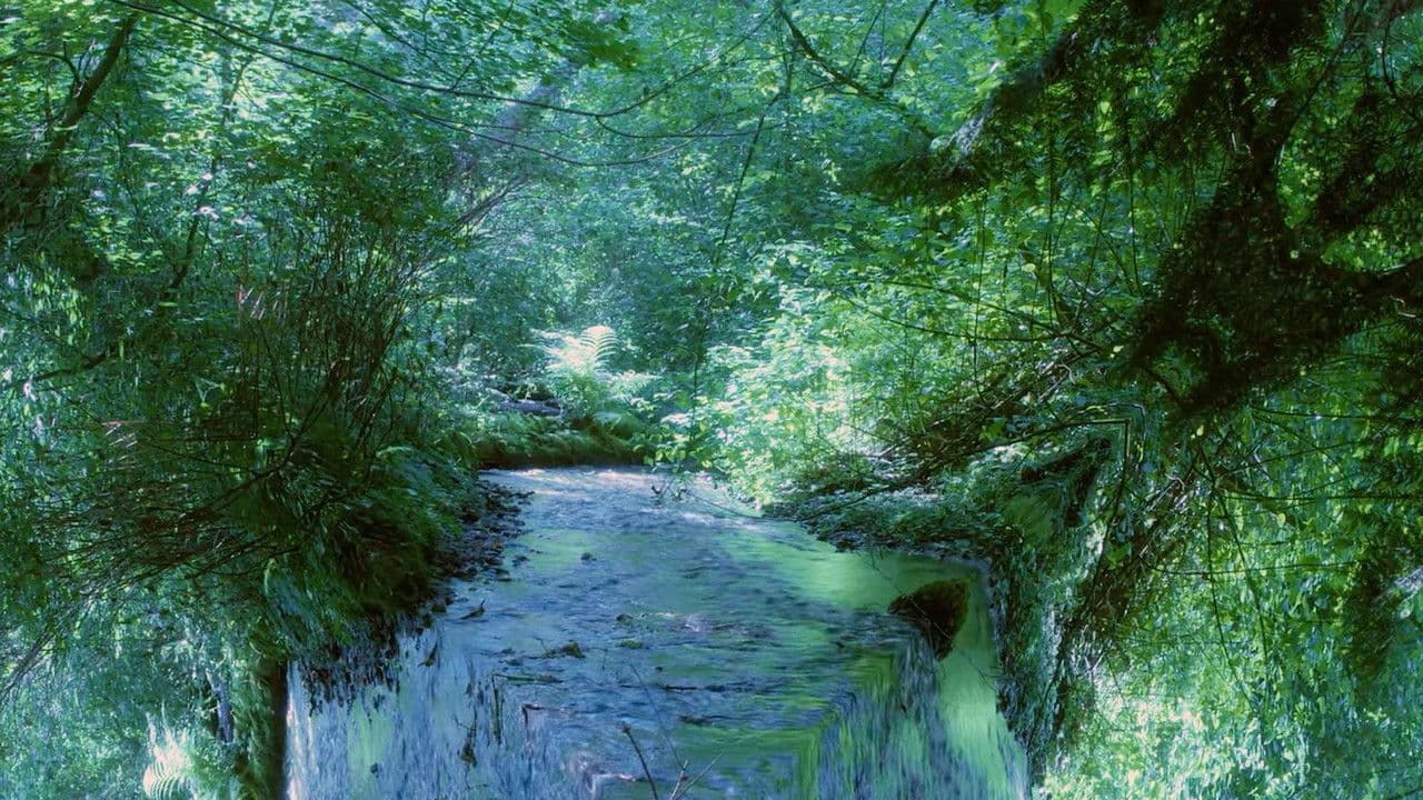 Backdrop – I Watched Her Grow