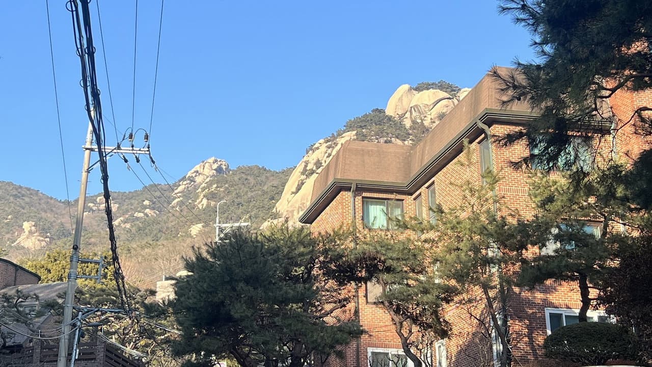 Backdrop – 이사