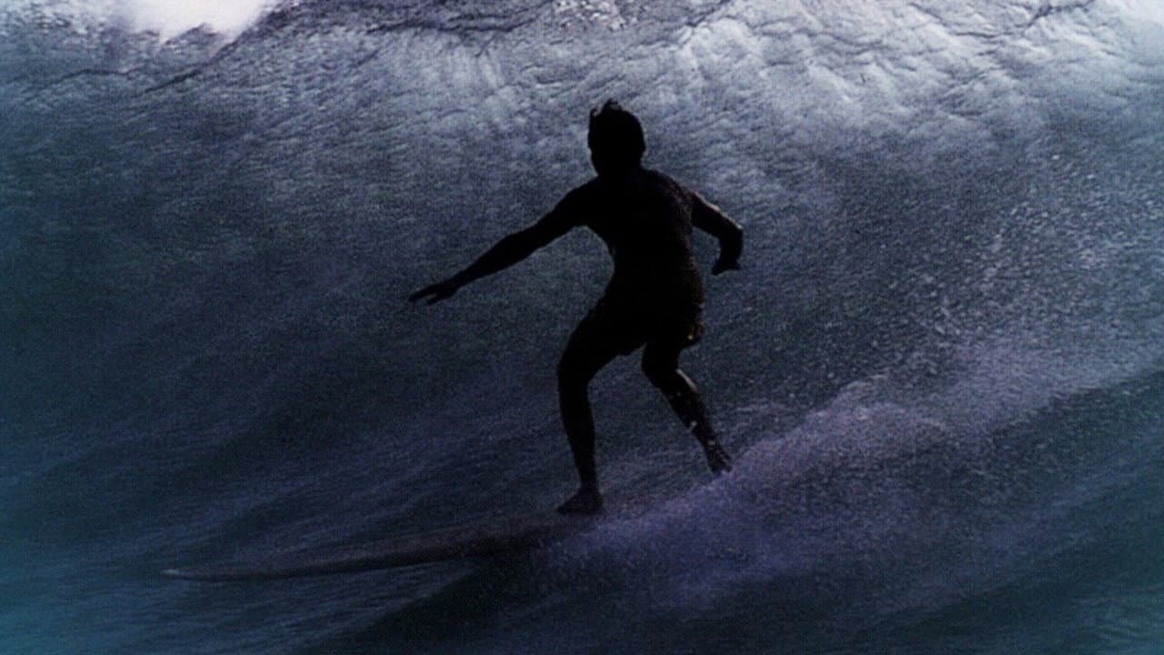 Backdrop – Surf Crazy