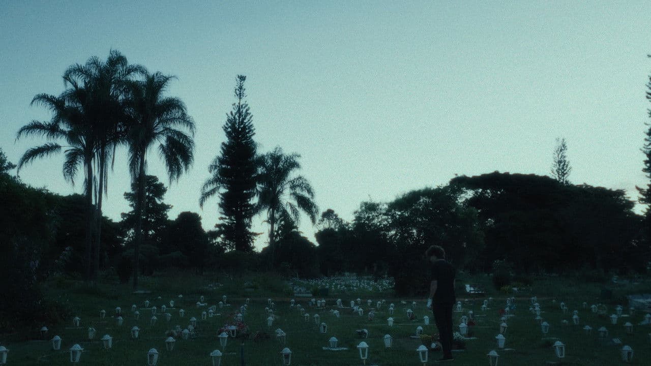 Backdrop – Lágrimas Holandesas