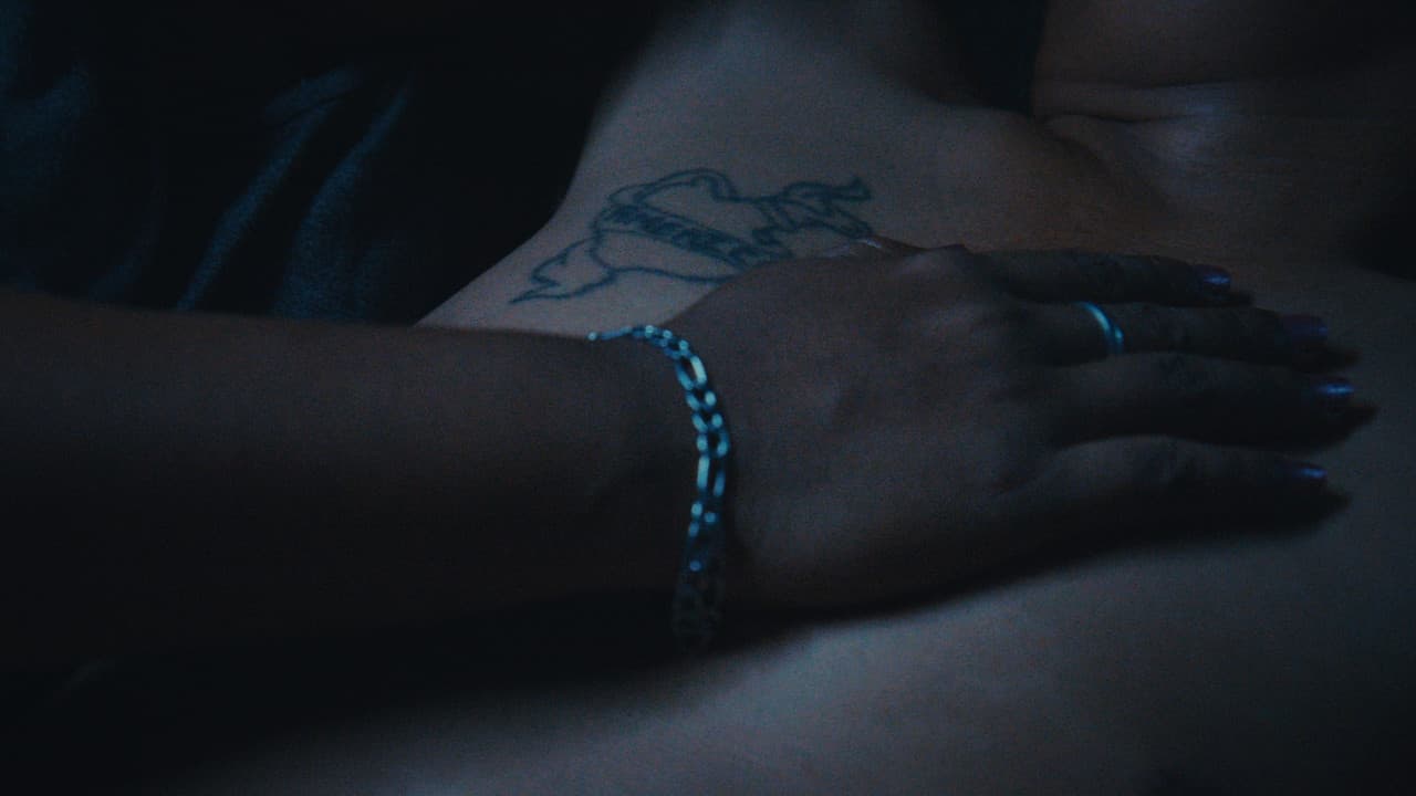 Backdrop – Un día llegará la noche