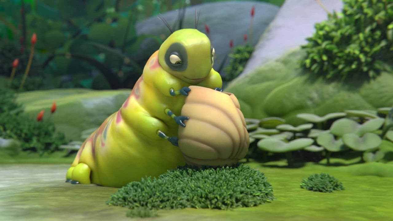 Backdrop – Sweet Cocoon