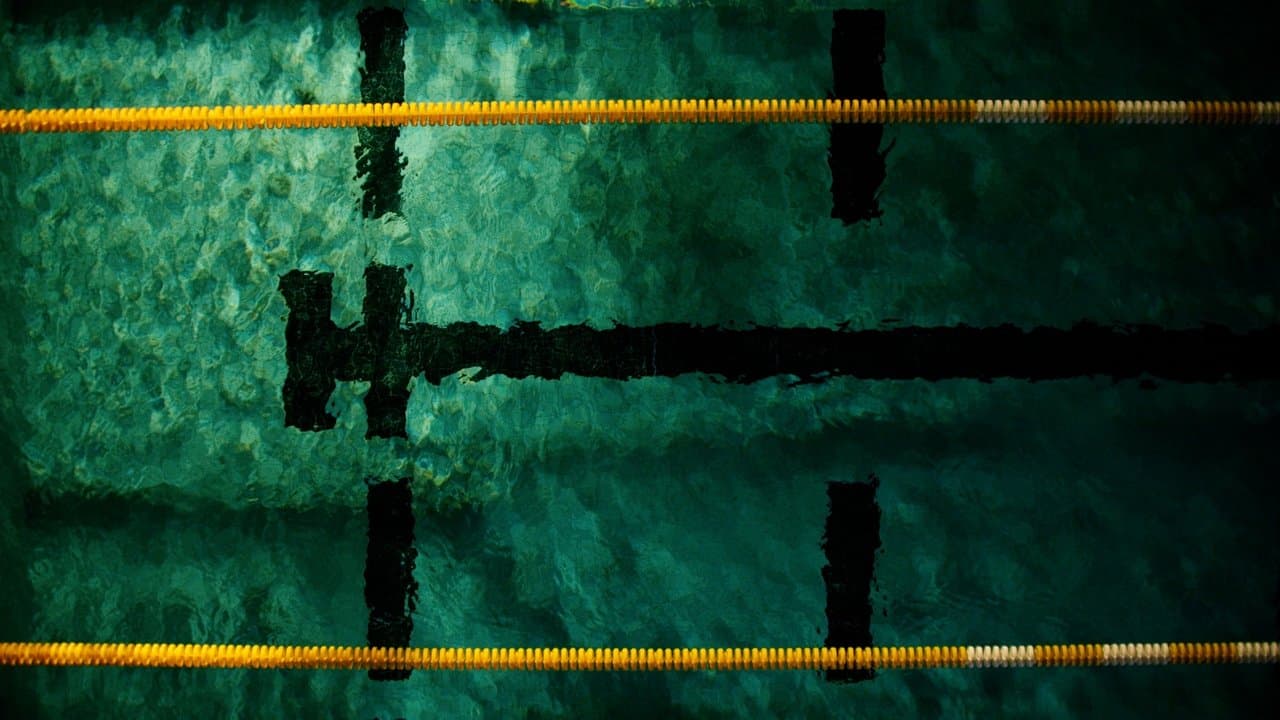 Backdrop – WATERSHED