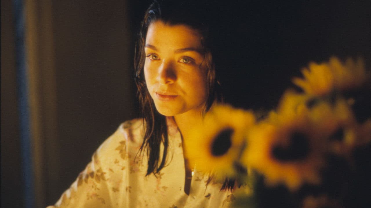 Backdrop – Huapango