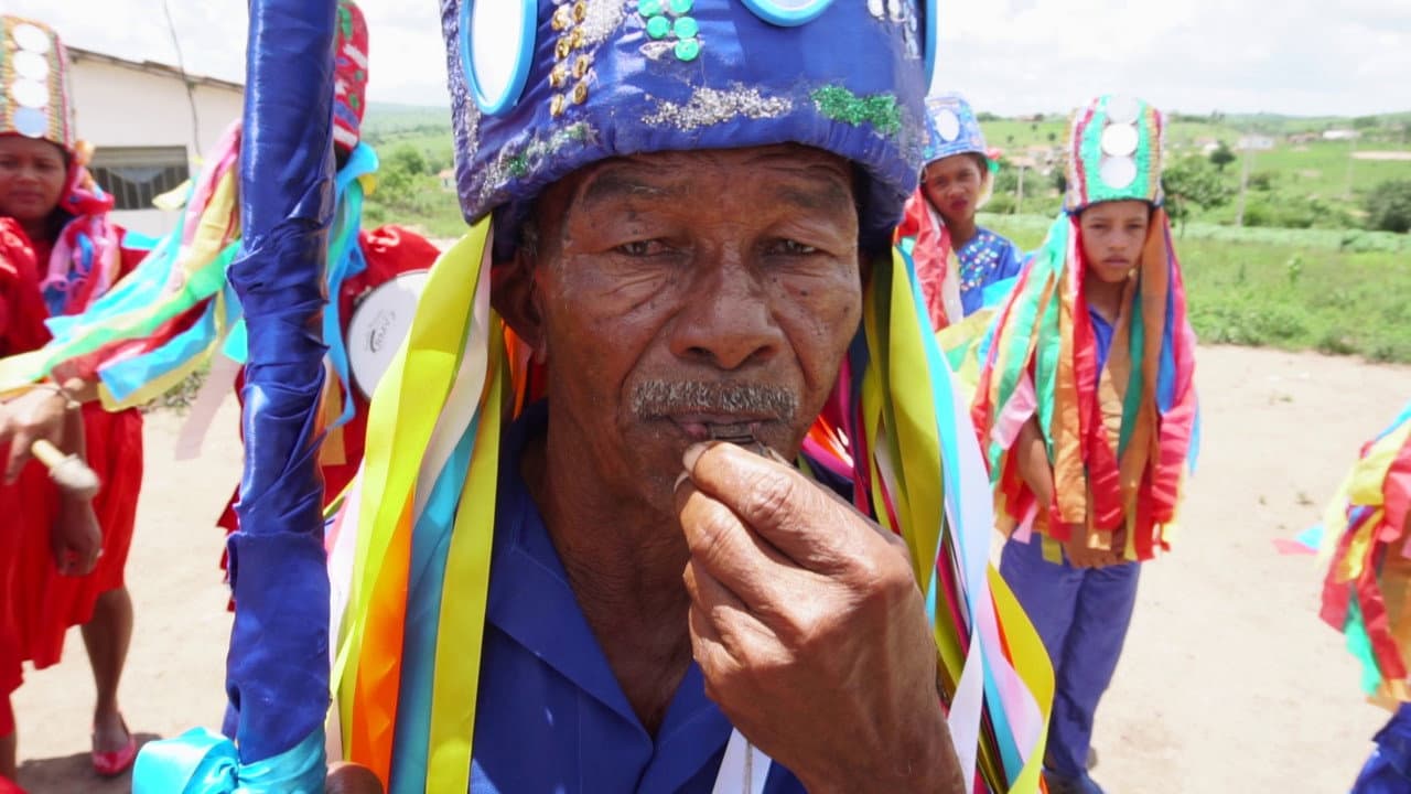 Backdrop – As Cores do Meu Reisado