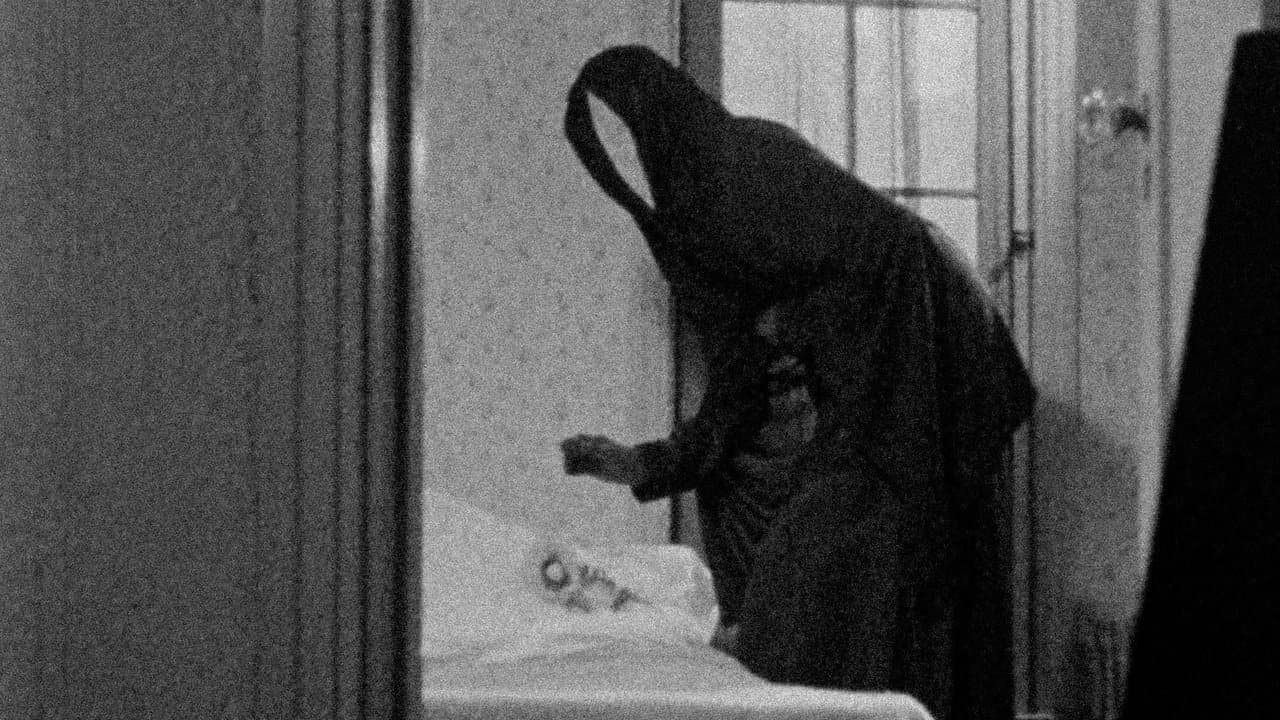 Backdrop – Meshes of the Afternoon