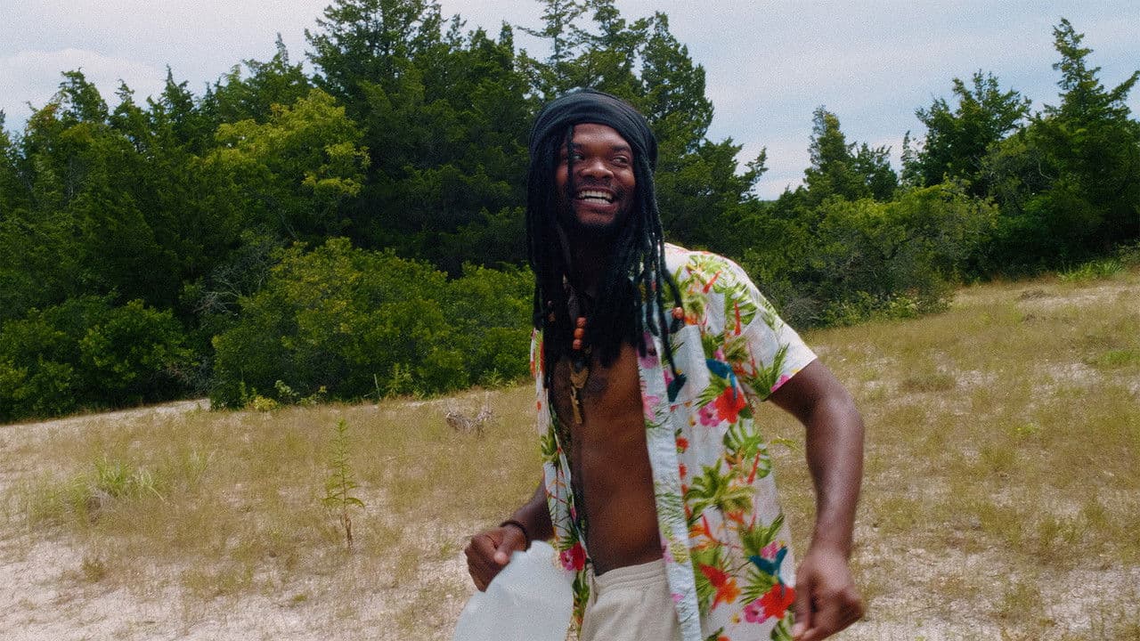 Backdrop – The Have Not