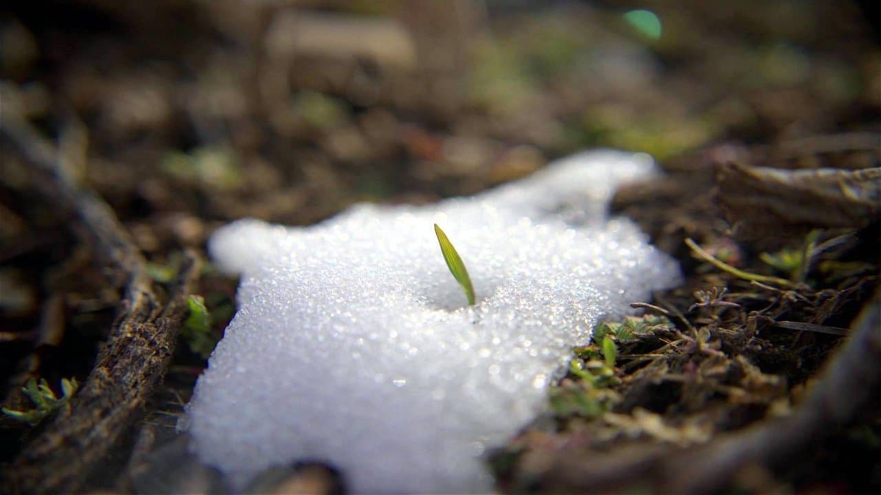 Backdrop – In Search of Balance