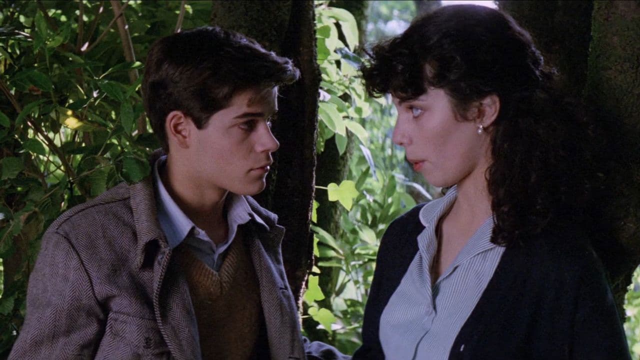 Backdrop – El año de las luces