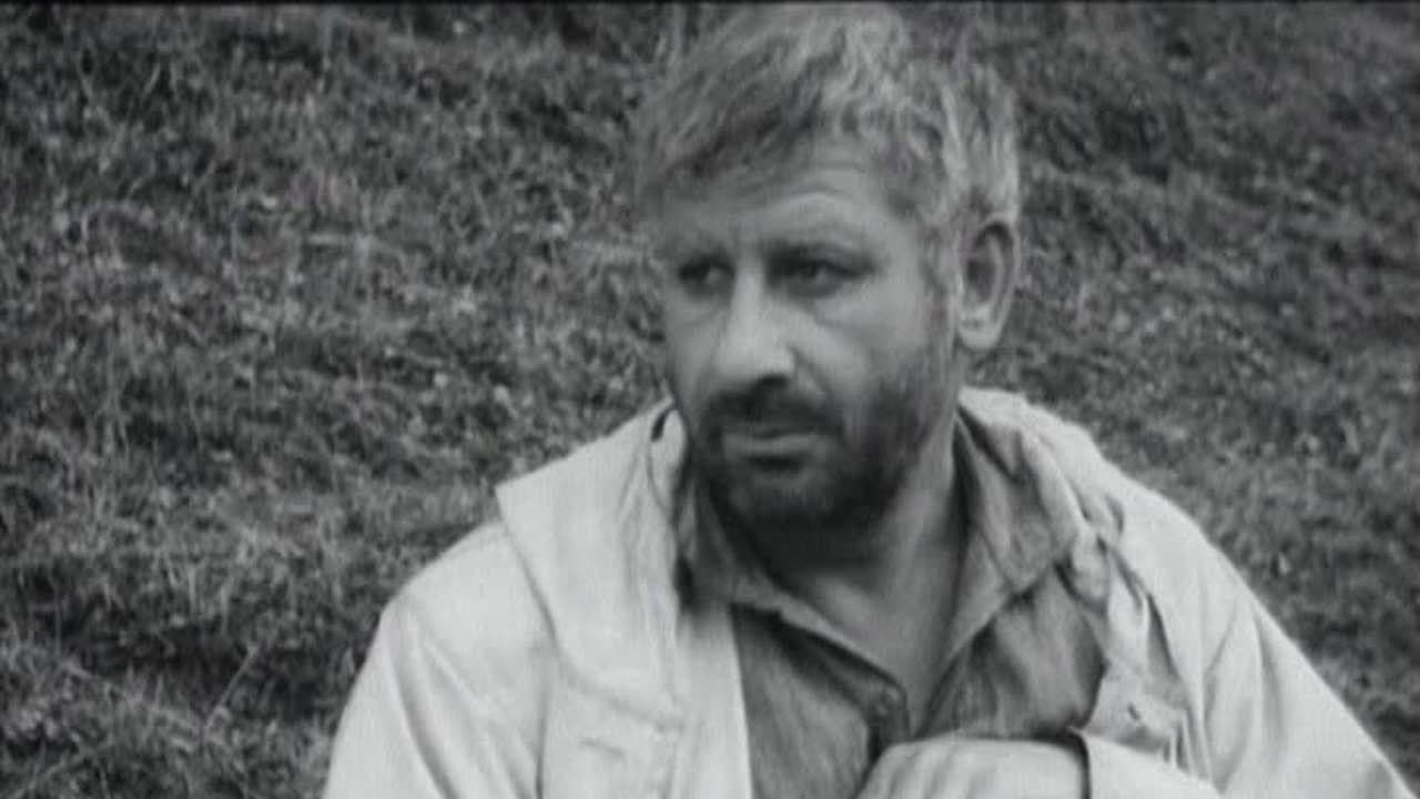 Backdrop – დიდი მწვანე ველი